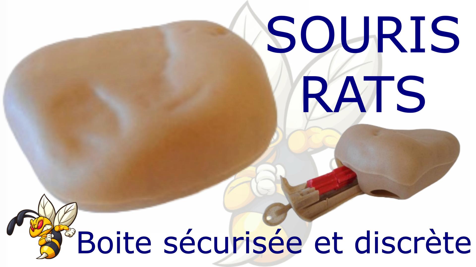 Rocher