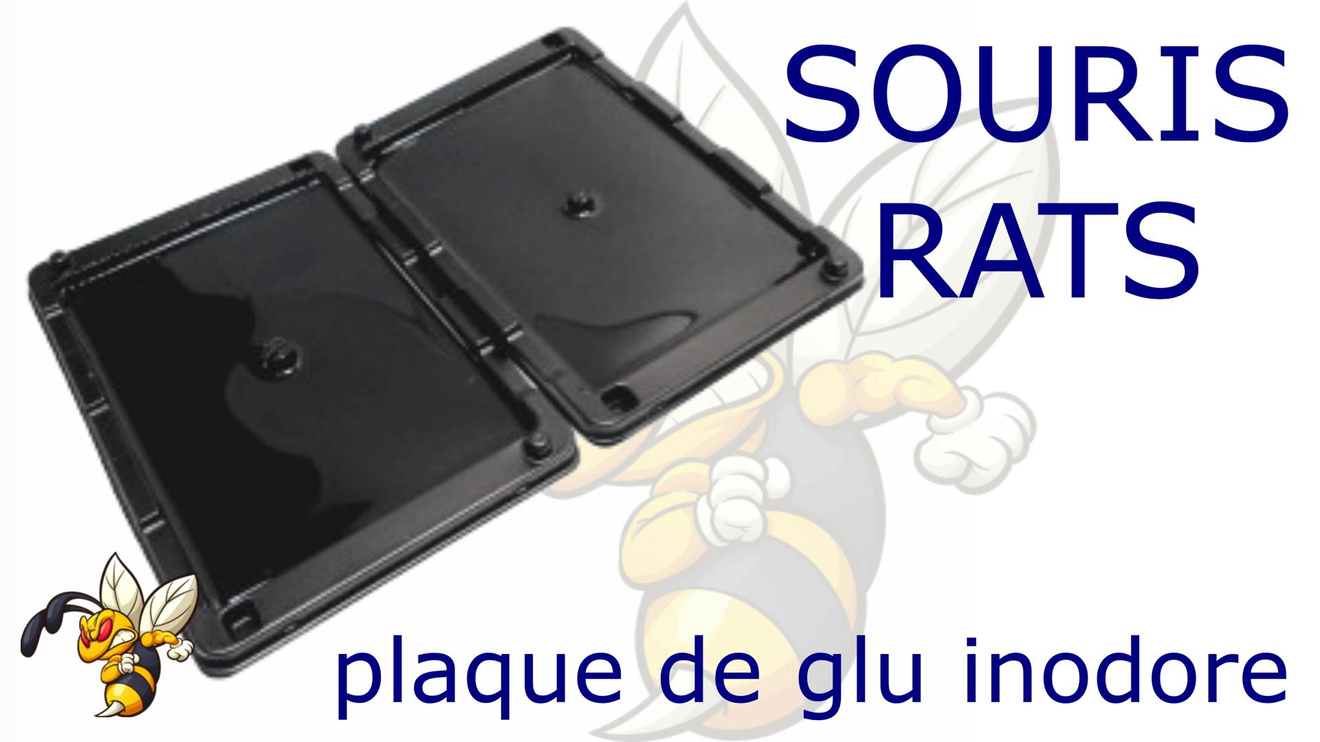 Glue-plaque