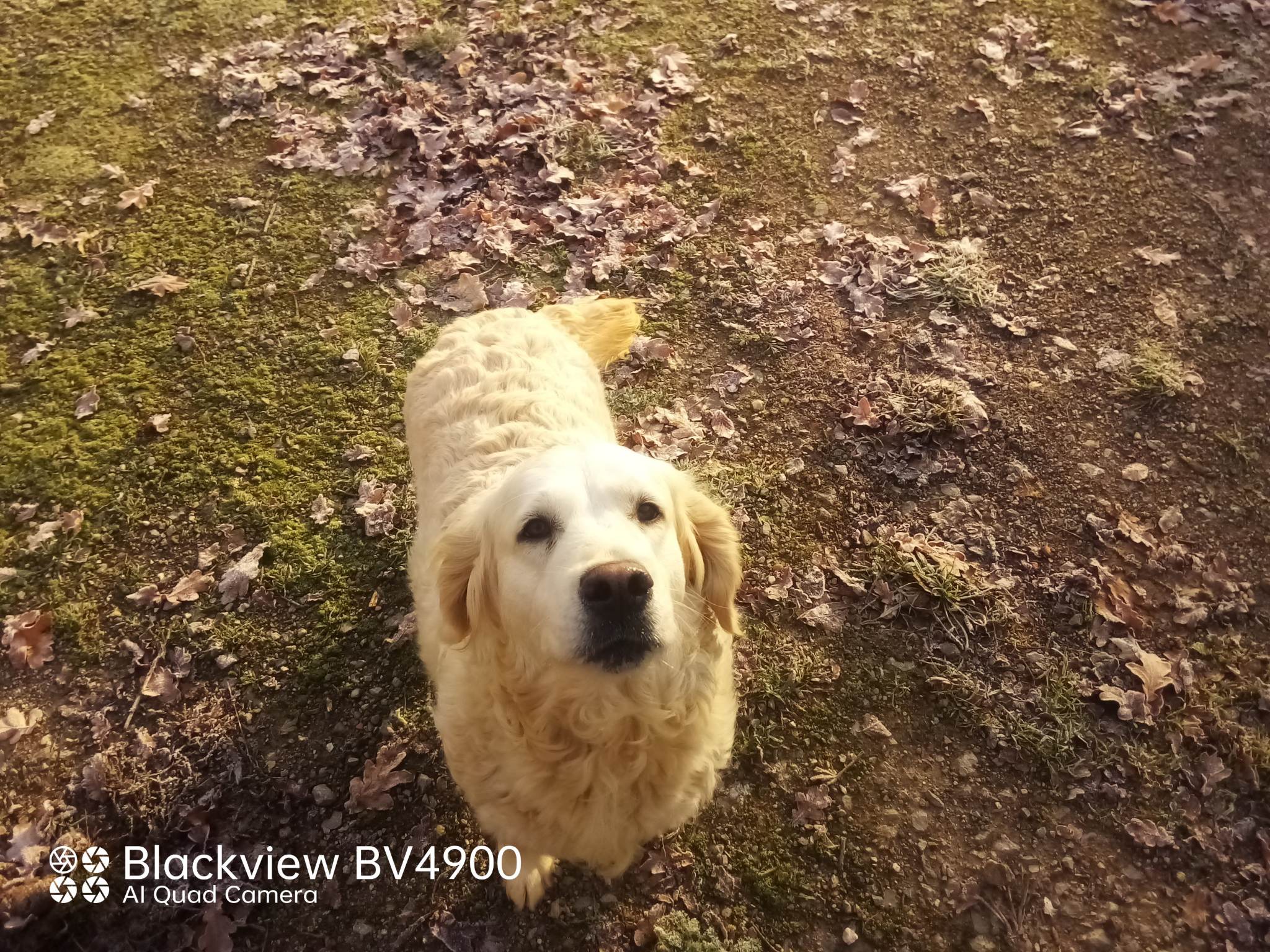 320458199 467211682291065 1792927270004370276 n