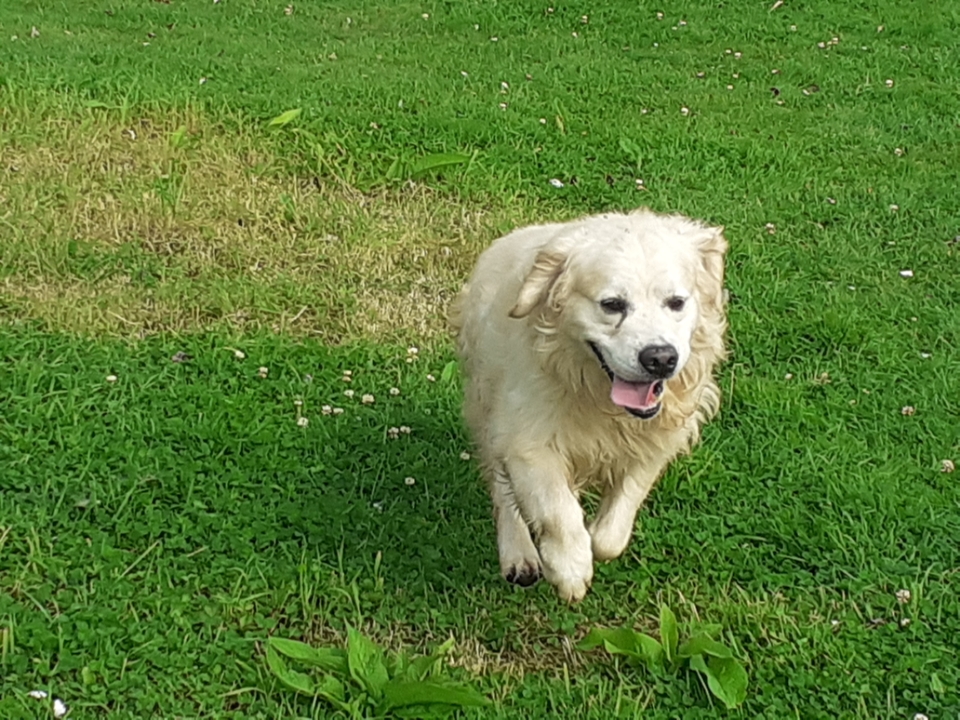 Resized 20210811 105132