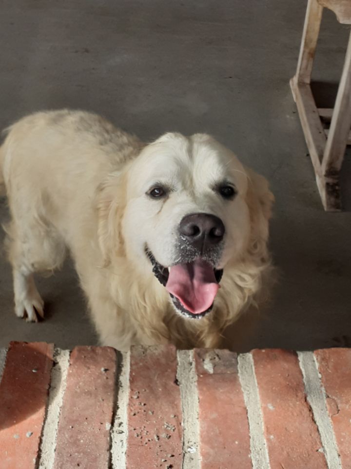 Resized 20210811 104626 1 