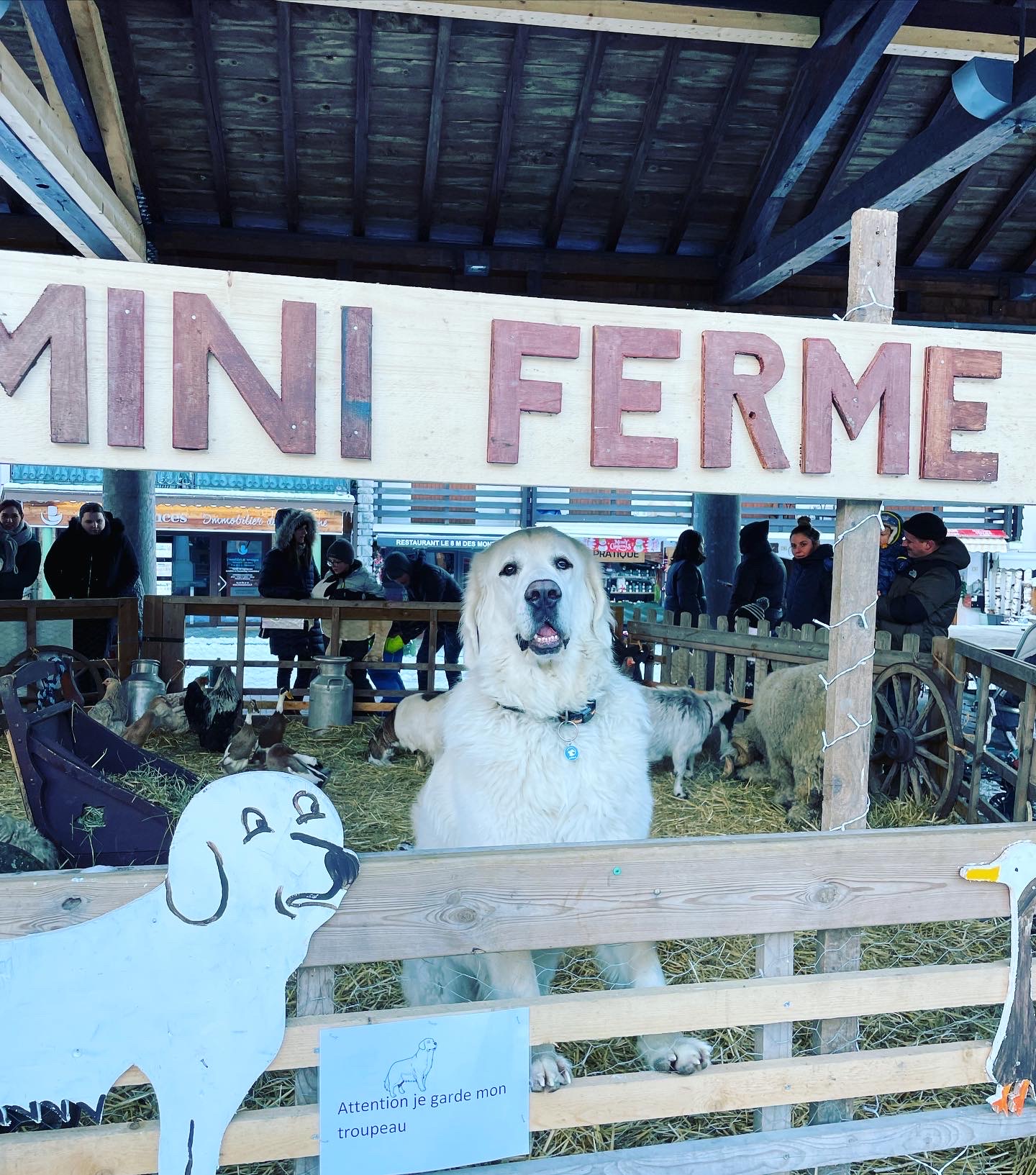 Mini-ferme1