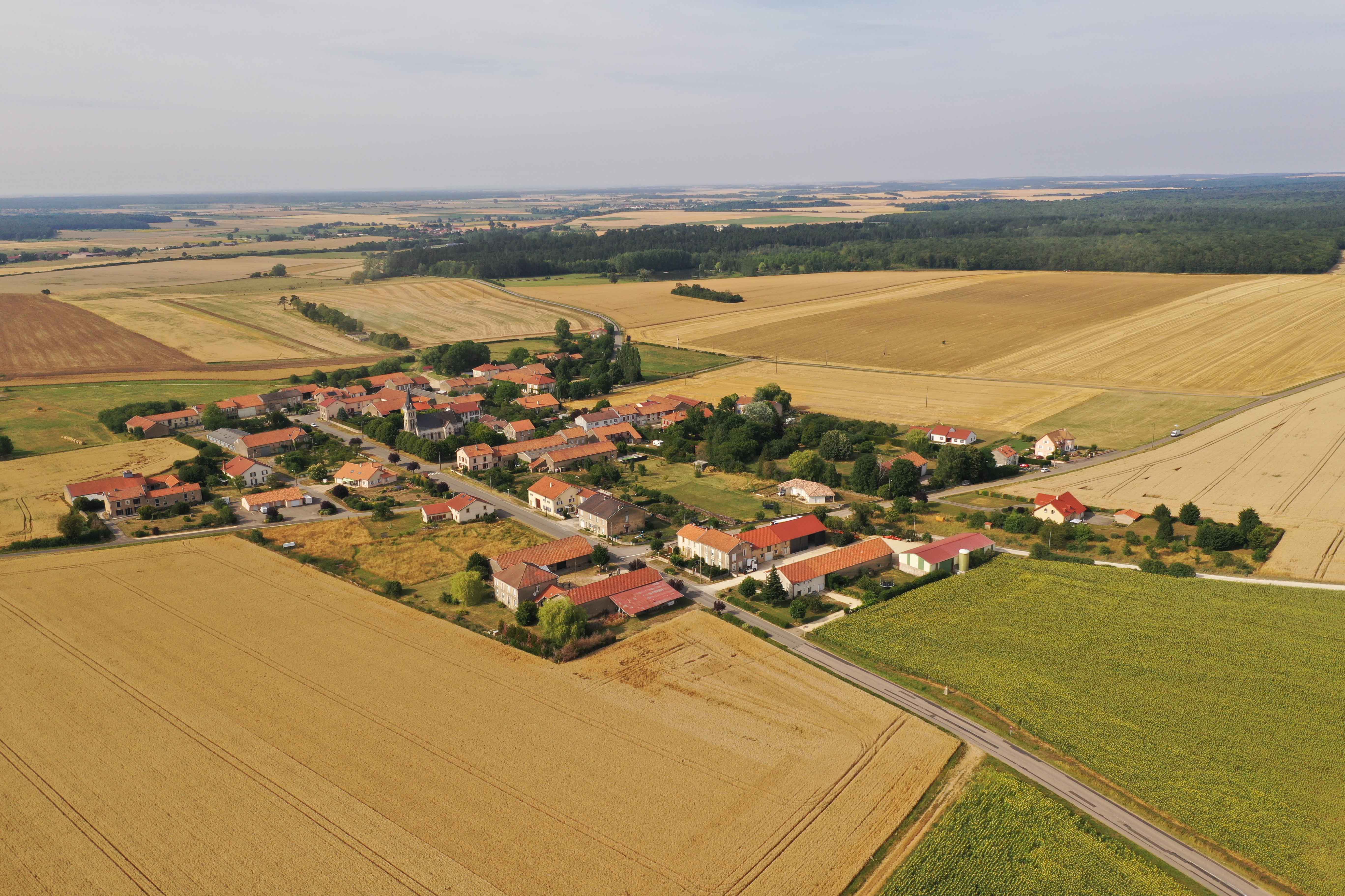 Dji 0500