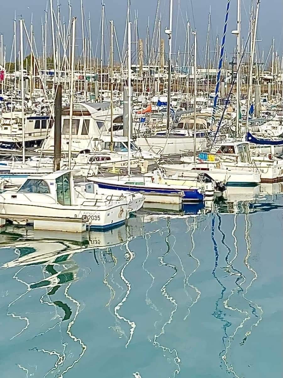 Le port Olona du de la logia