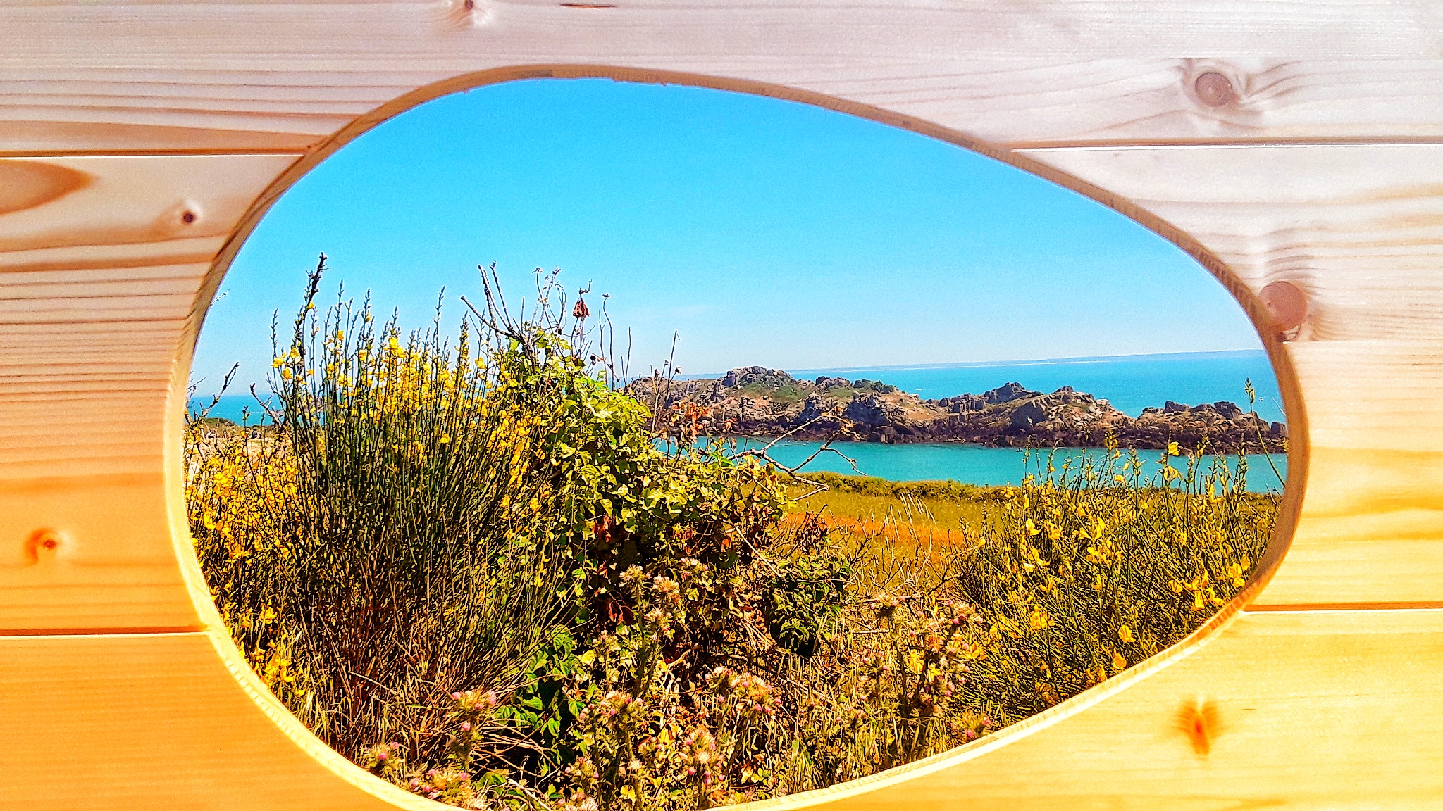 Mini Caravane
Teardrop Trailer
Pointe Groin