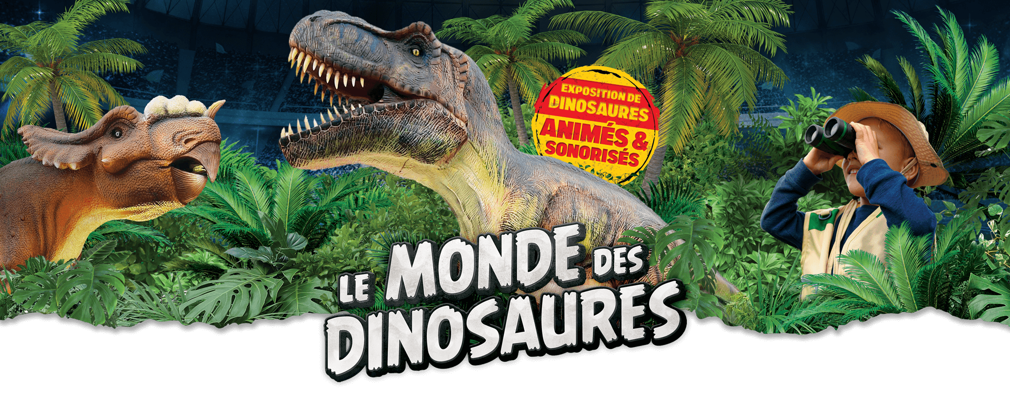 Banniere-web-23-1-