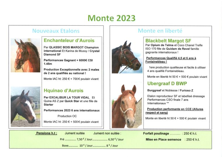 Monte-2023-site