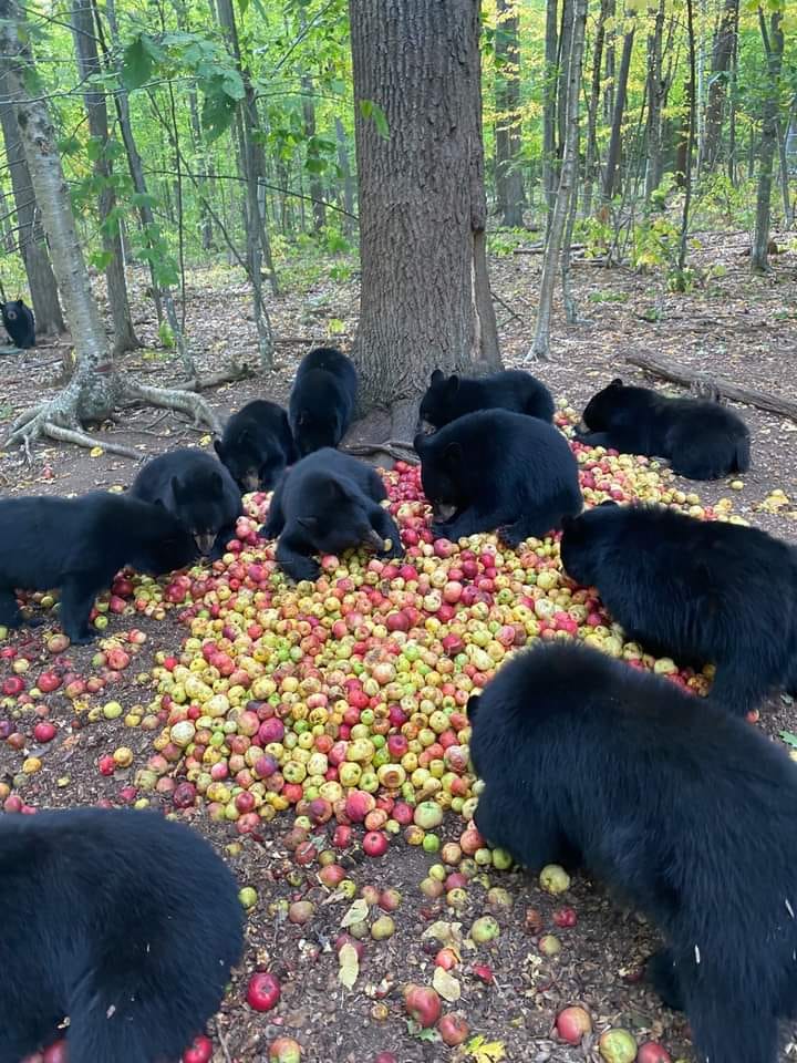 Apple party ours kazakstan
