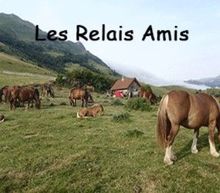 Image-Relais Amis
