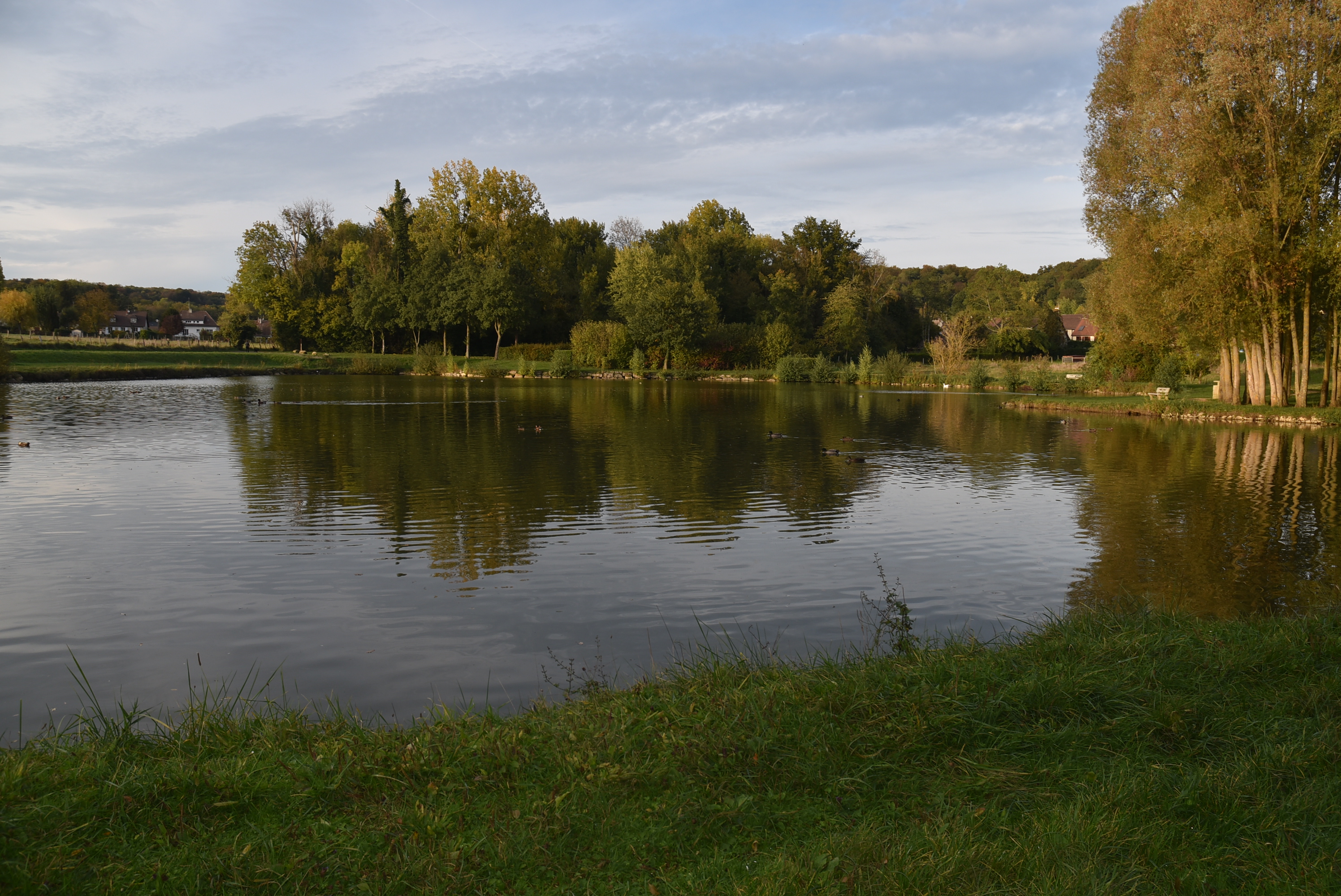 Etang
