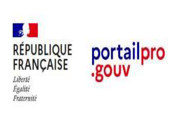 Image-Portailpro-gouv