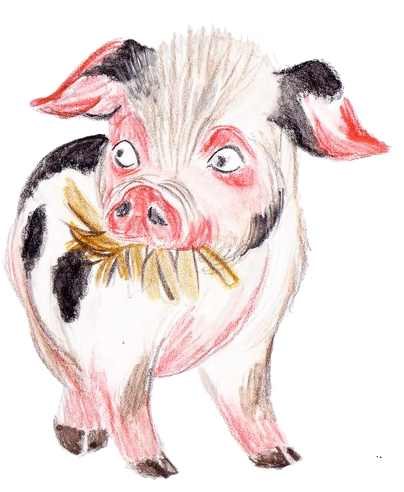 Joue avec Piggy le petit cochon
