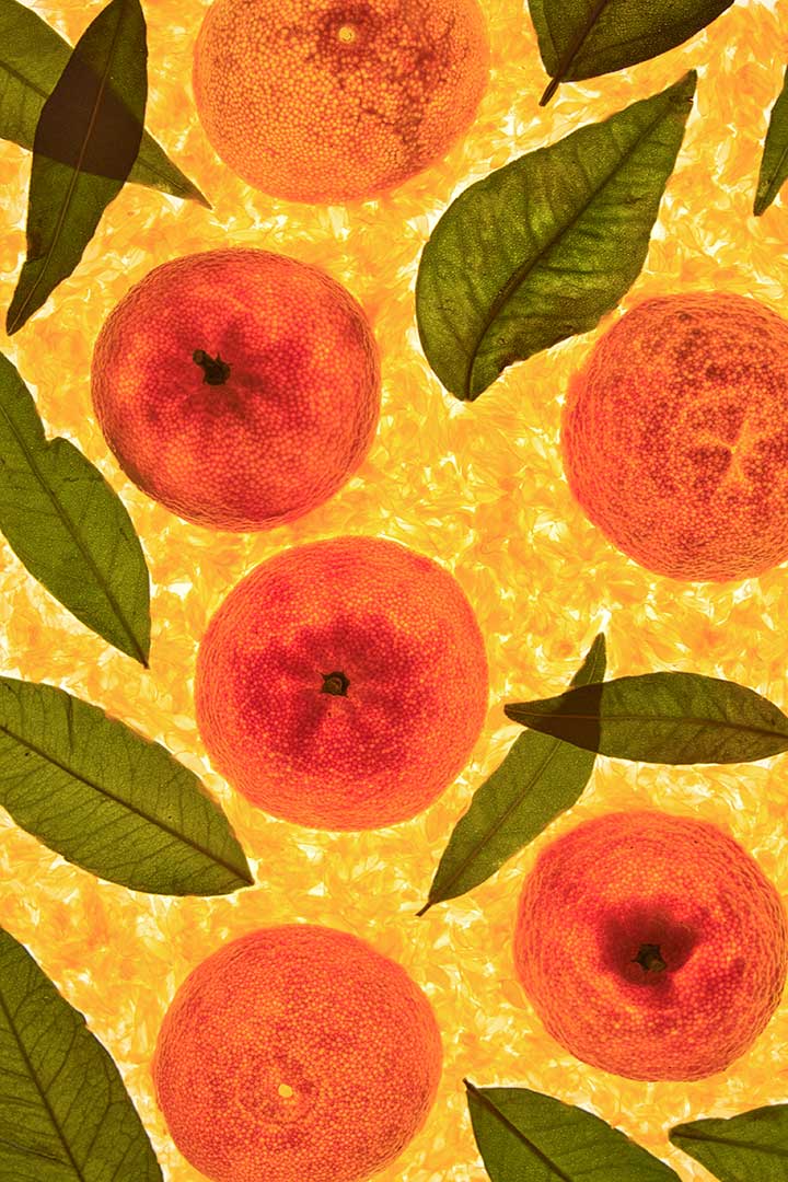 Clementine copie