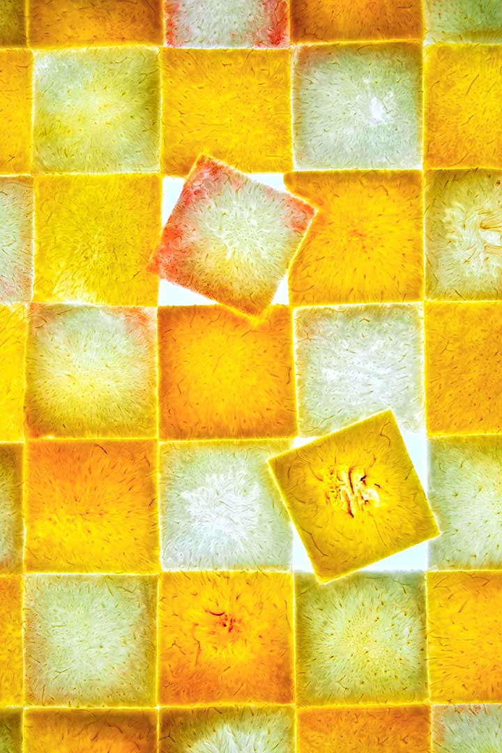 Peche blanche et  jaune copie