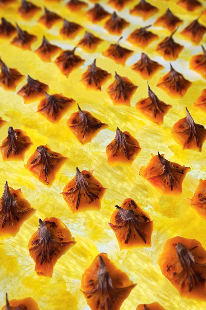 Ananas copie