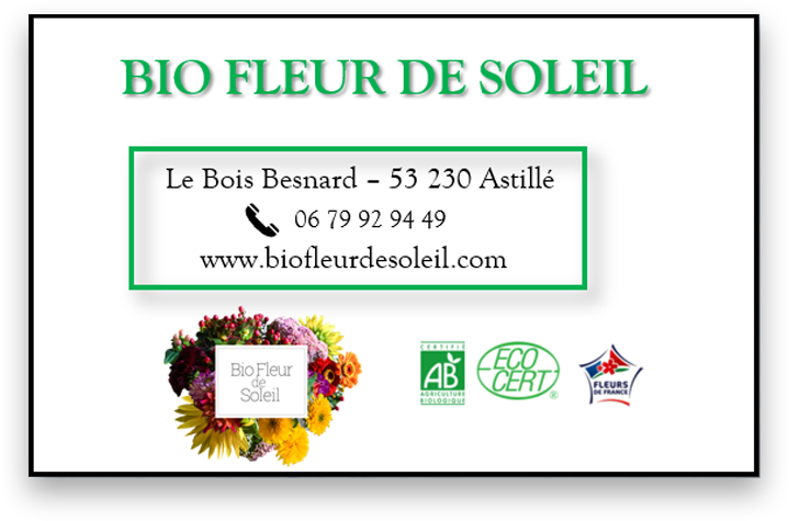 Bio fleur de soleil