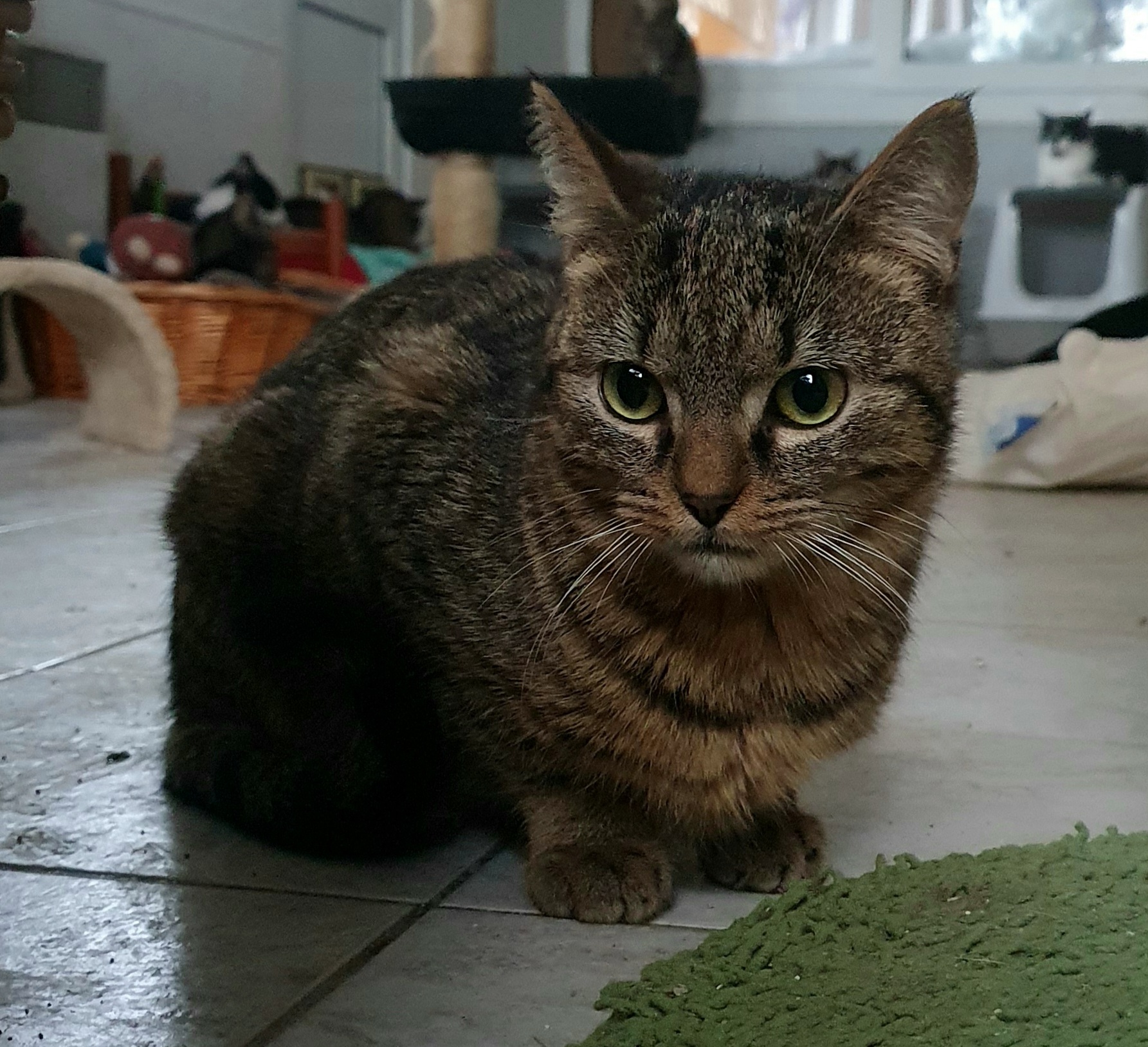 Juanito-2