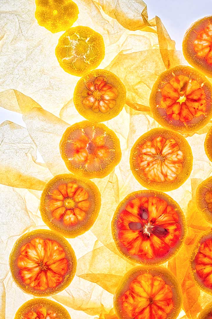Clementine sanguine chaine