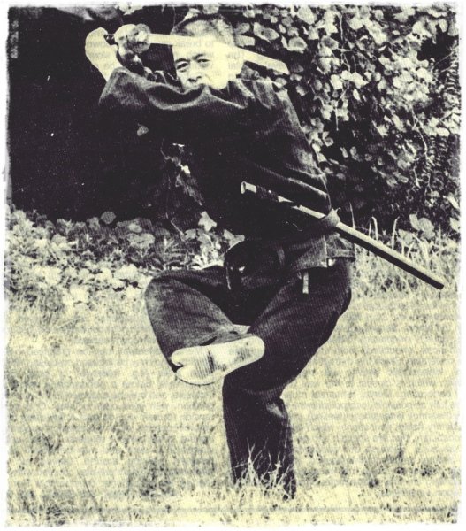 Bujinkangreece ninjutsu 8