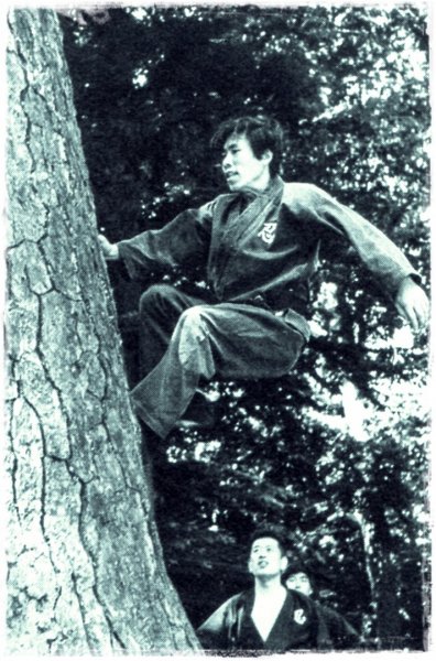 Masaaki hatsumi-105 senosensei-bujinkangreece