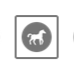 Icone-cheval