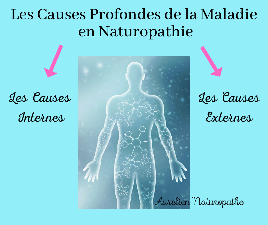 Les-causes-profondes-de-la-Maladie-en-Naturopathie