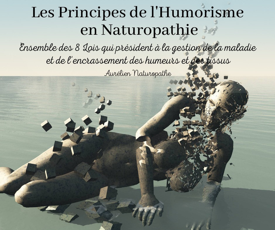 Les-principes-de-l-humorisme-en-Naturopathie