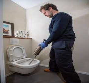 Depanage-wc-2