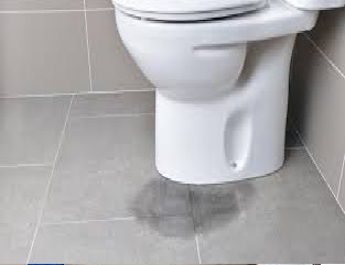 Fuite-wc