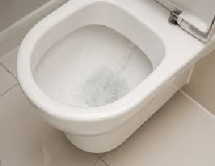 Fuite-wc2