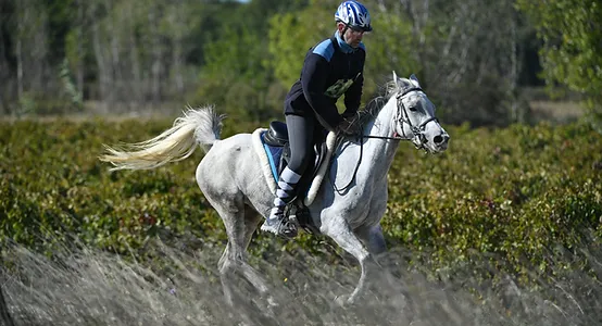 Photo-endurance