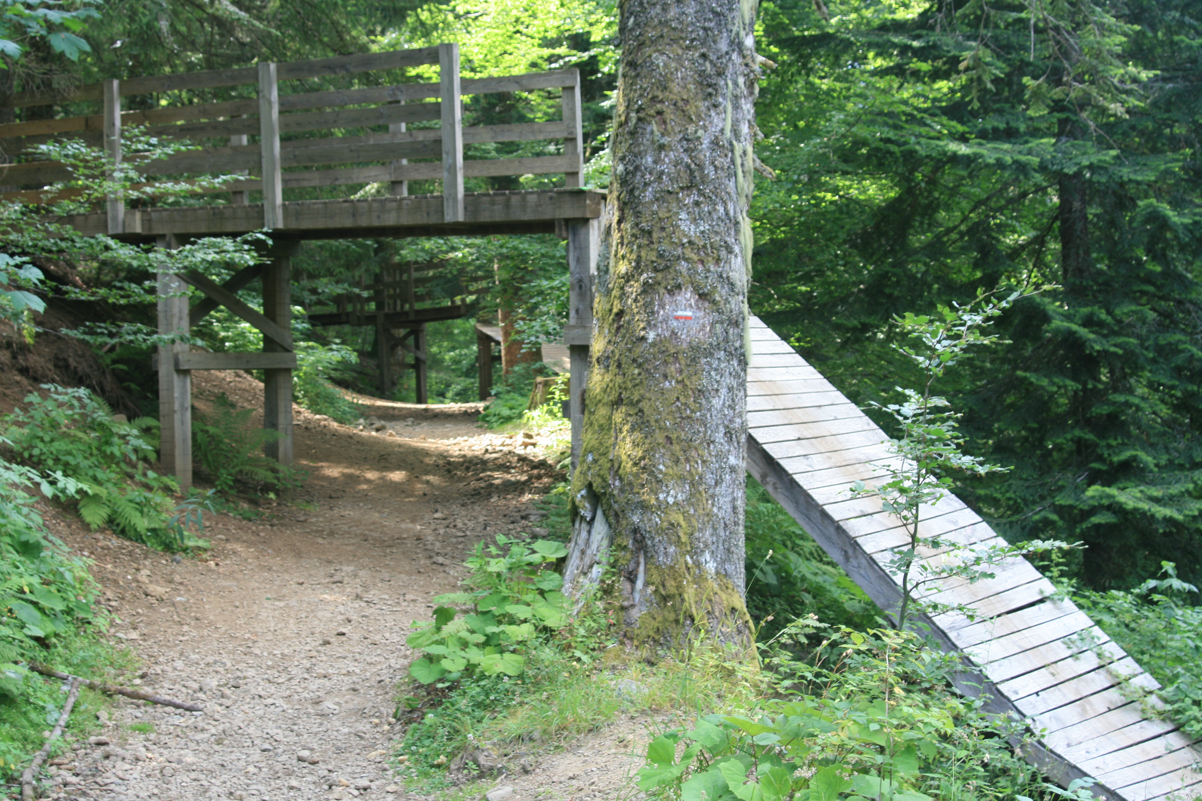 Cantal-2018-22-