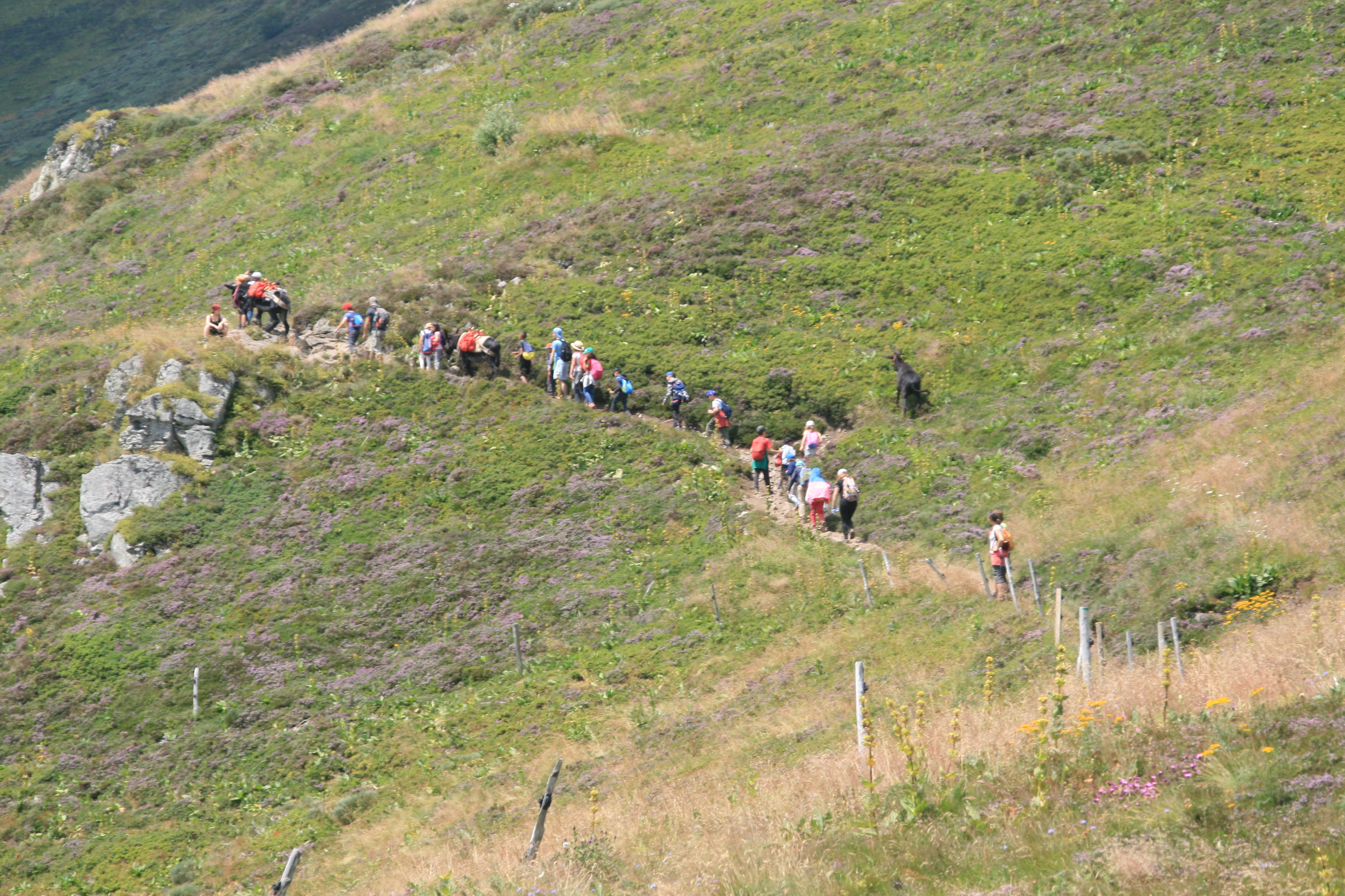 Cantal-2018-21-