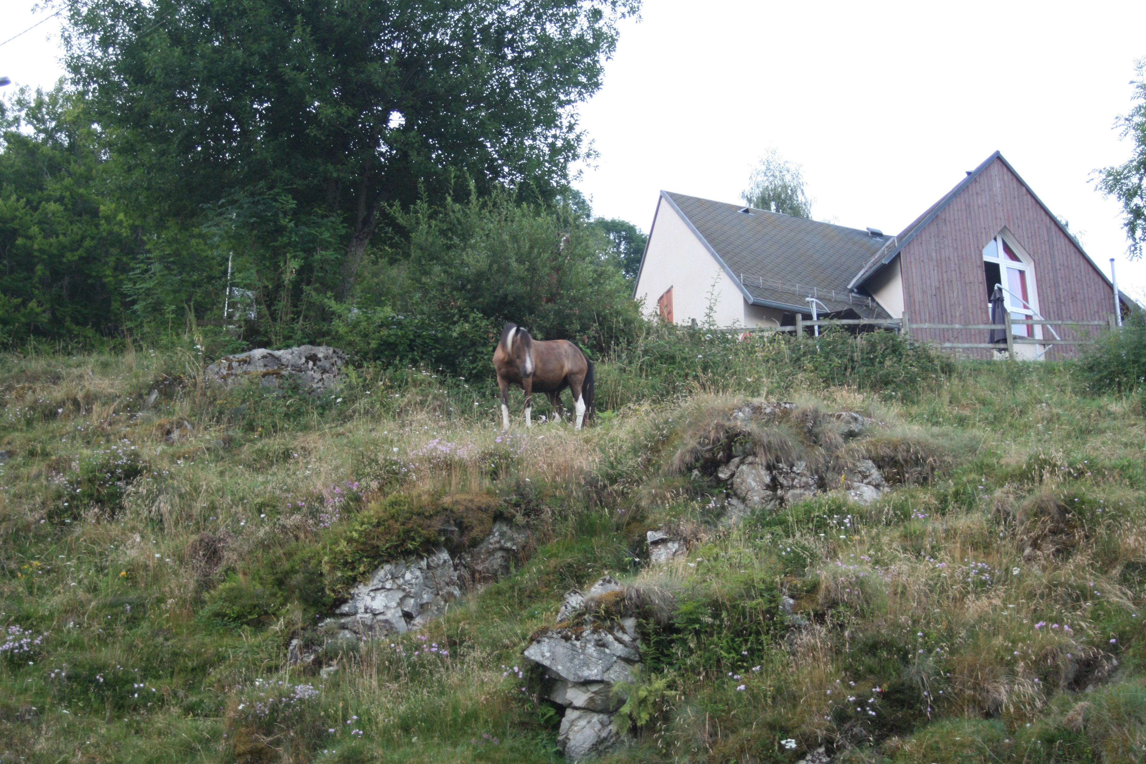 Cantal-2018-52-