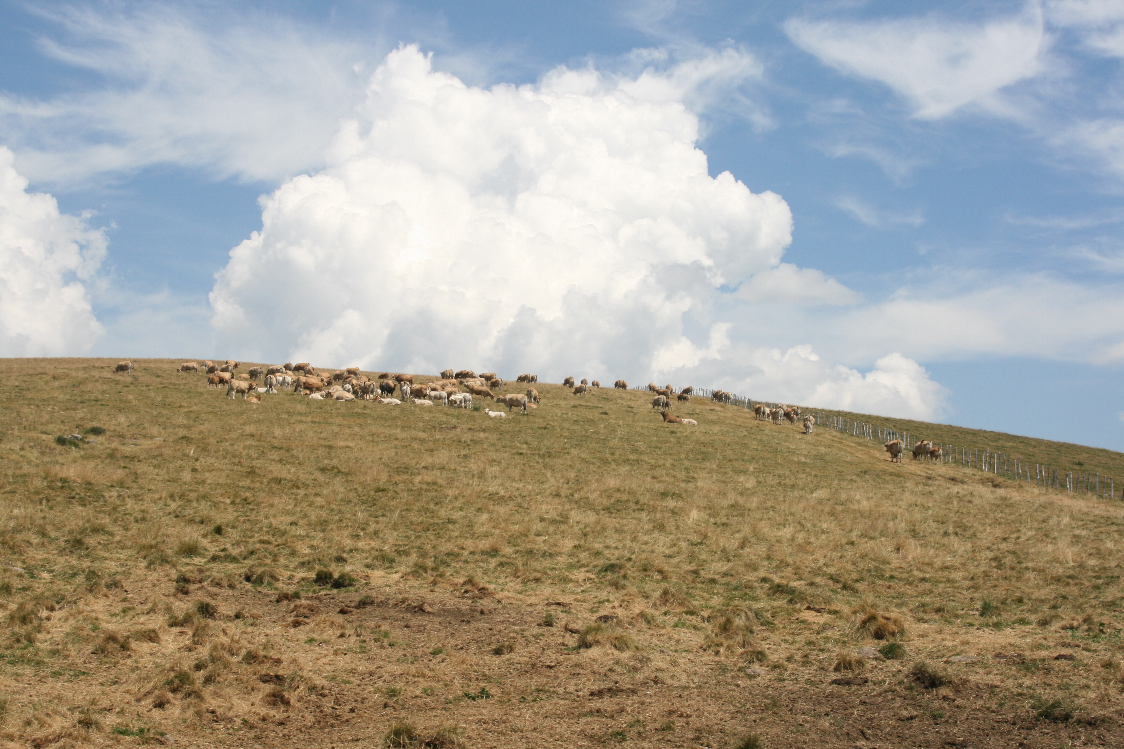 Cantal-2018-64-
