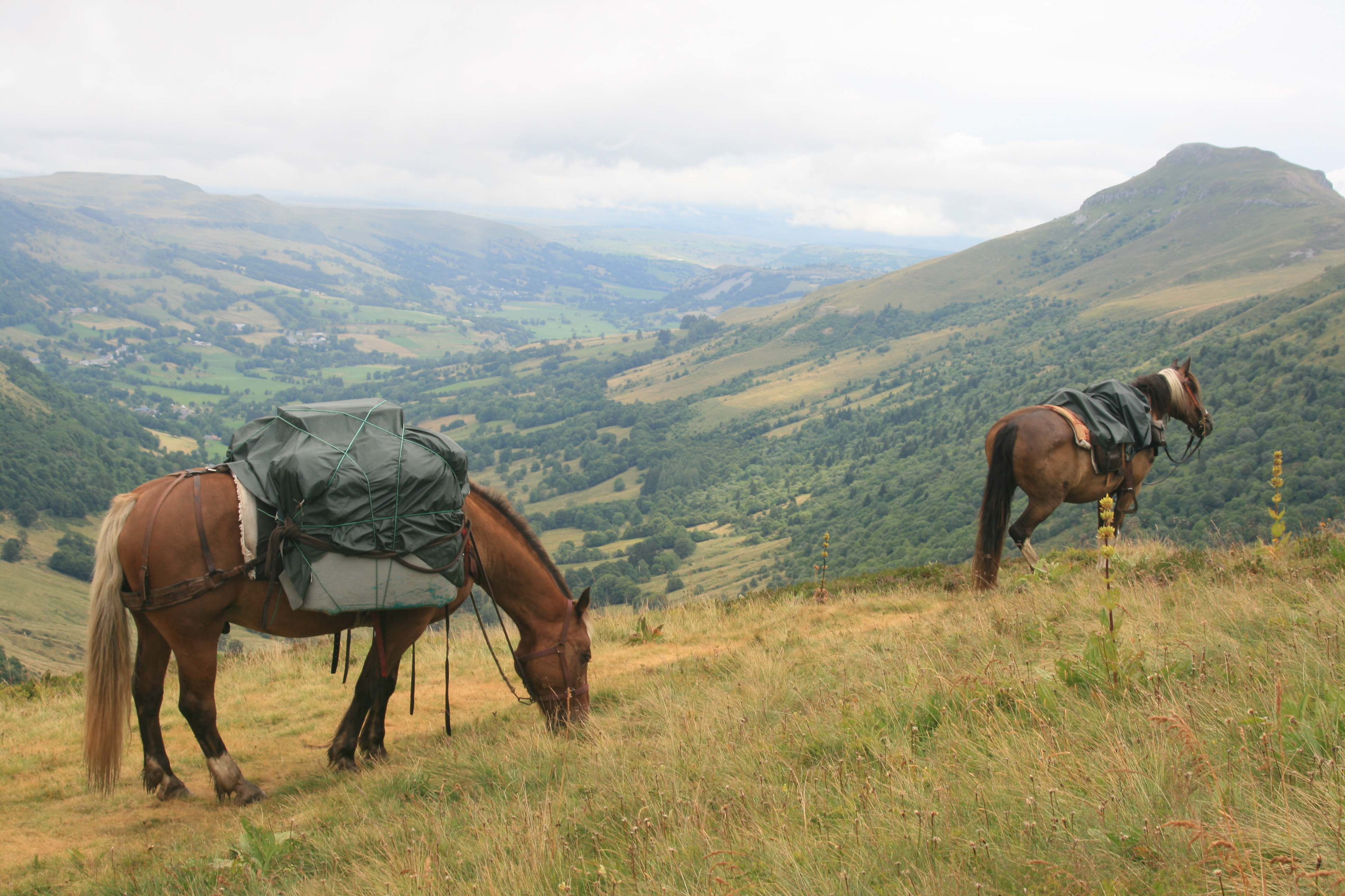 Cantal-2018-80-