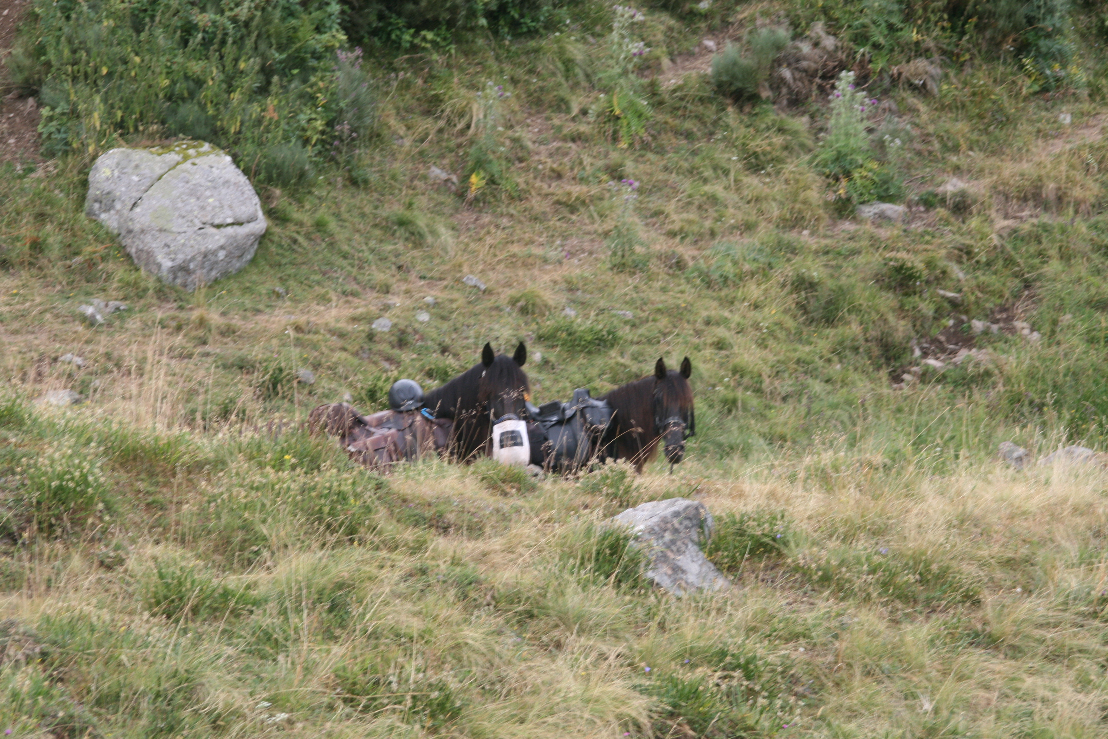 Cantal-2018-92-