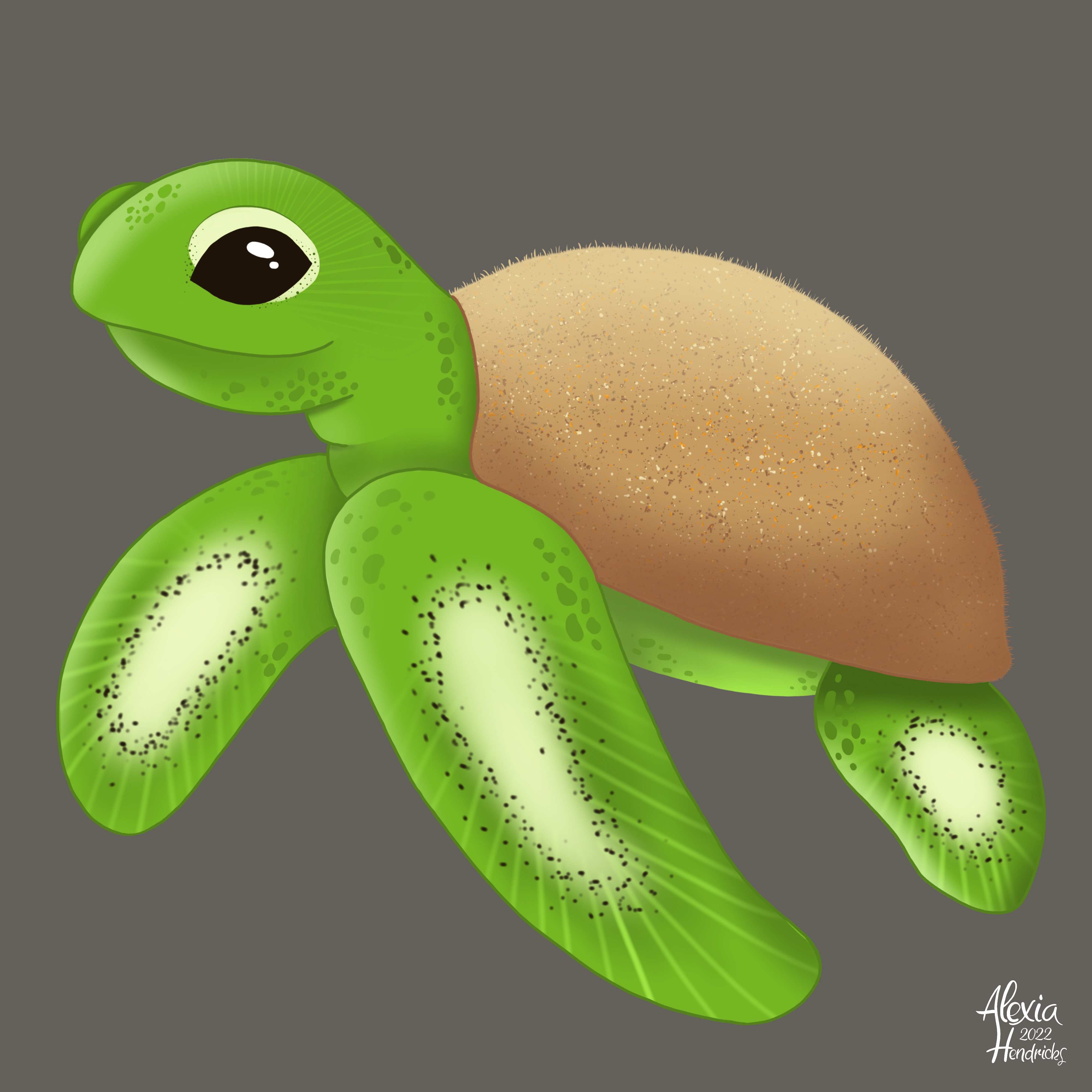 04 kiwi 20230212070320 