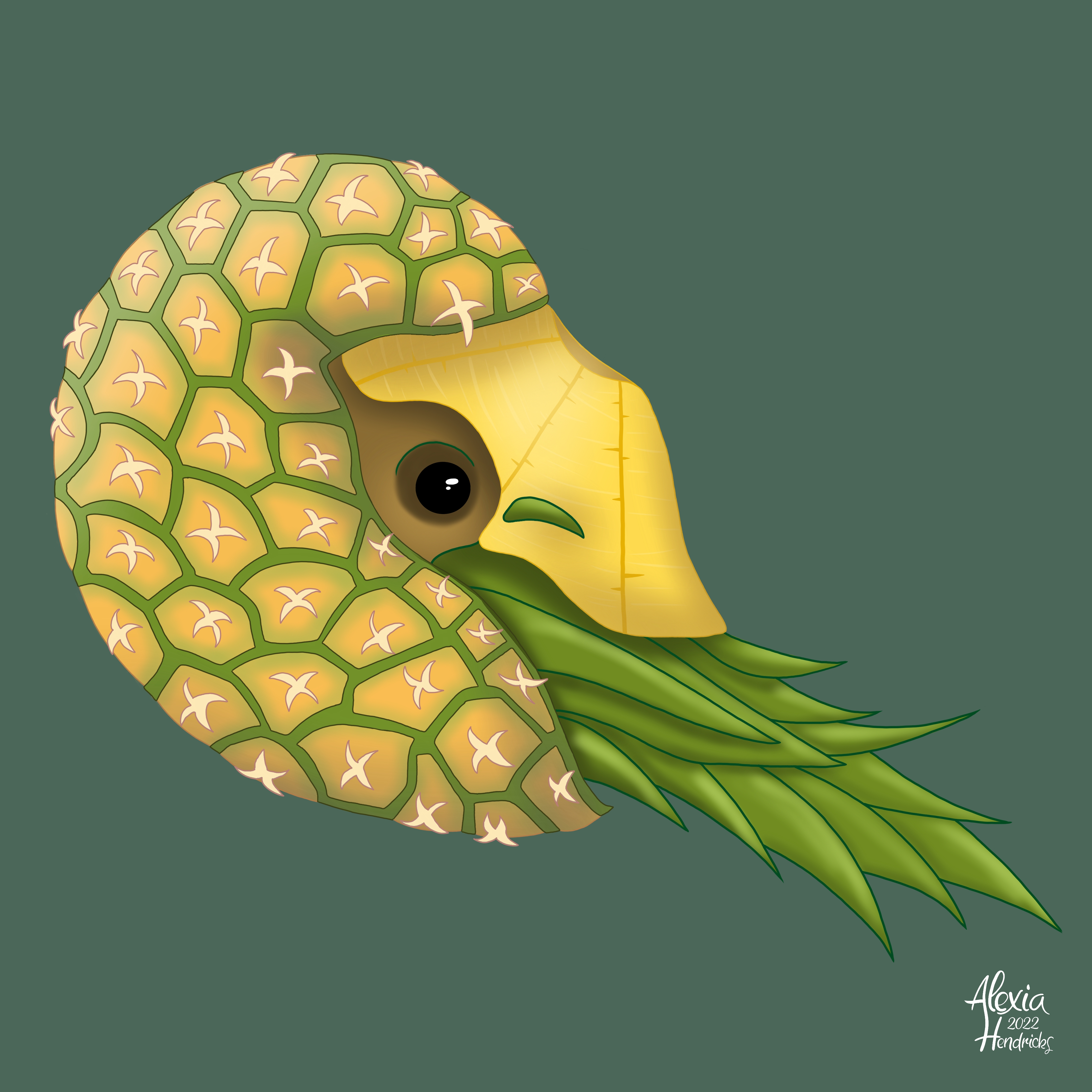 06 pineapple 20230212070115 