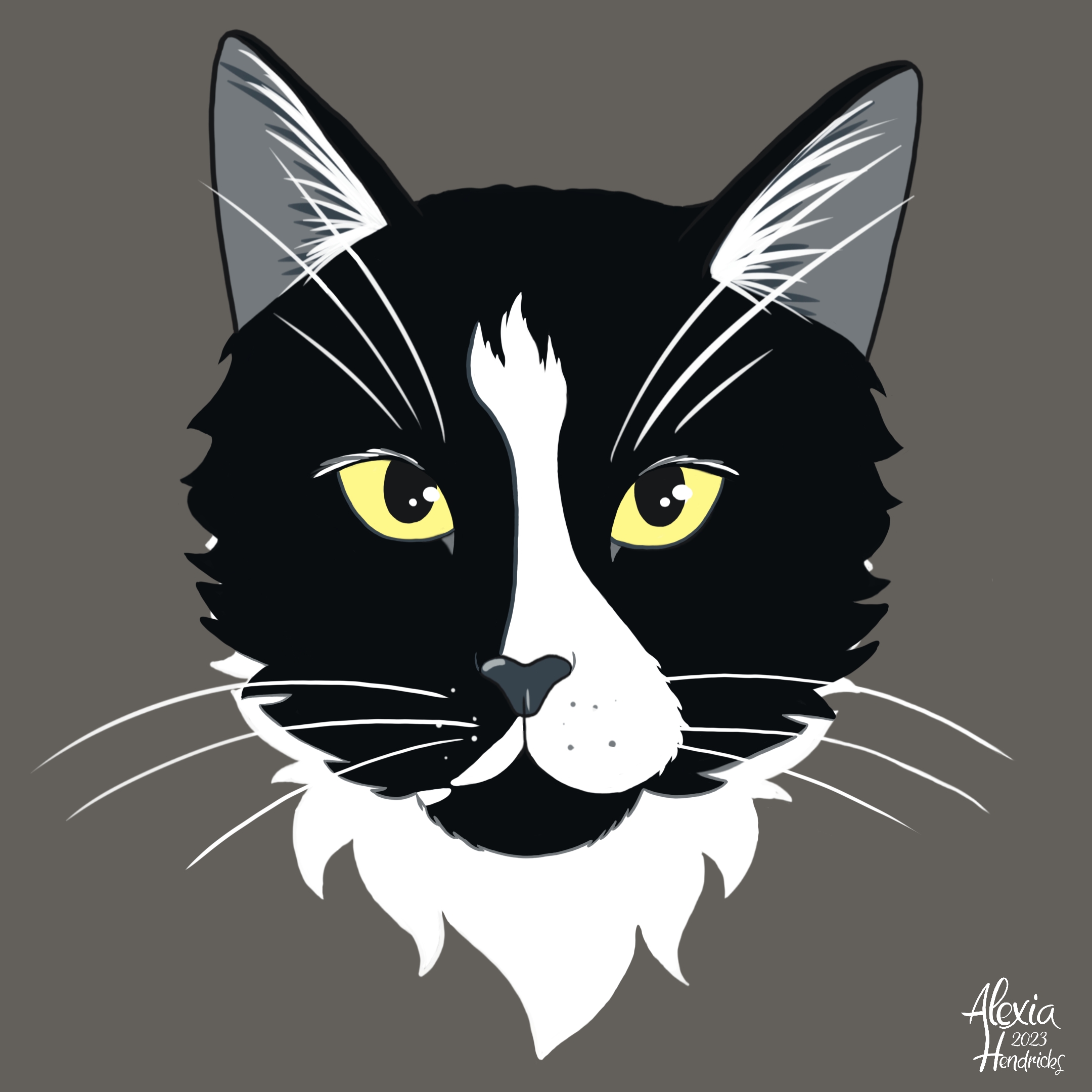 Projet 20230212054800 