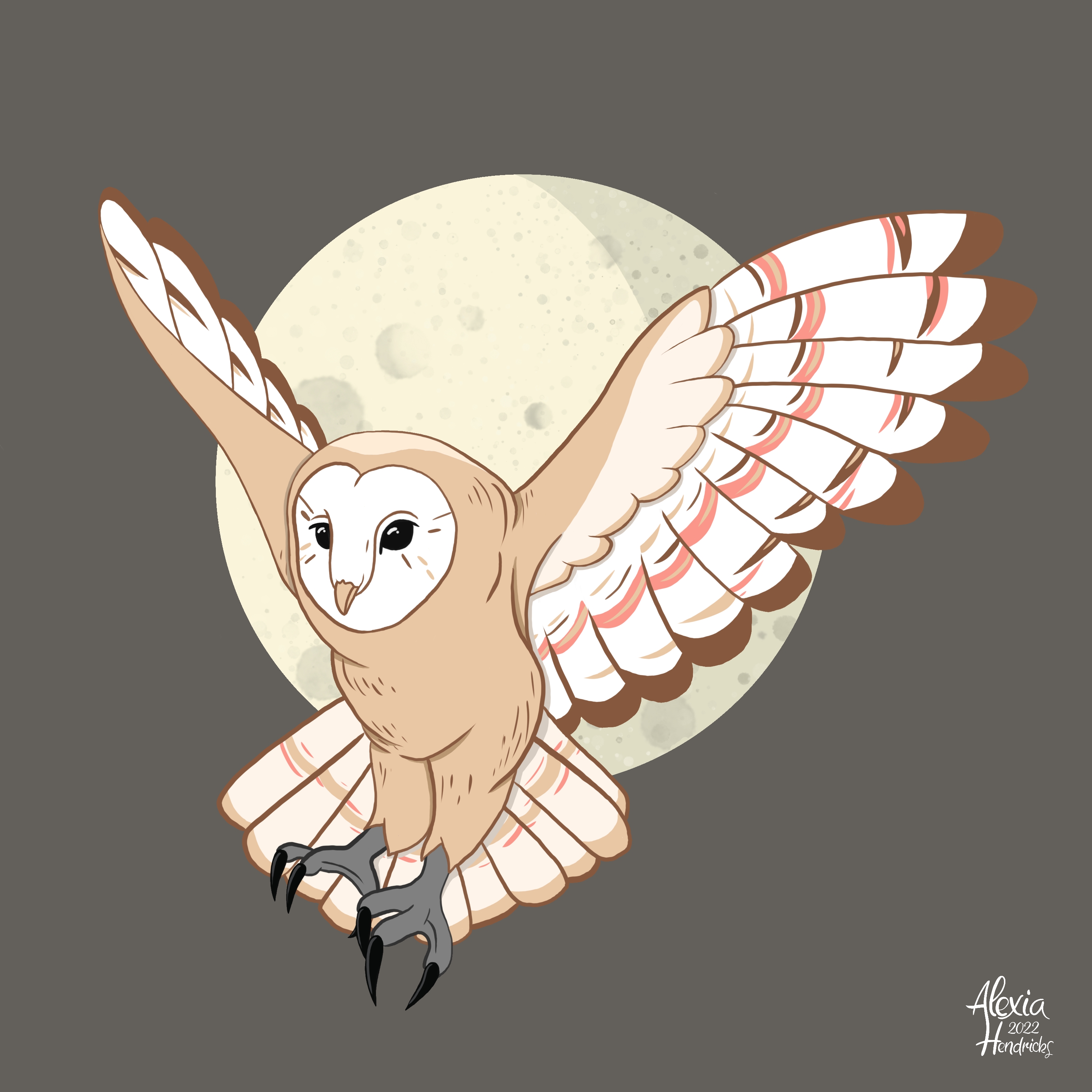 Projet 20230212062824 