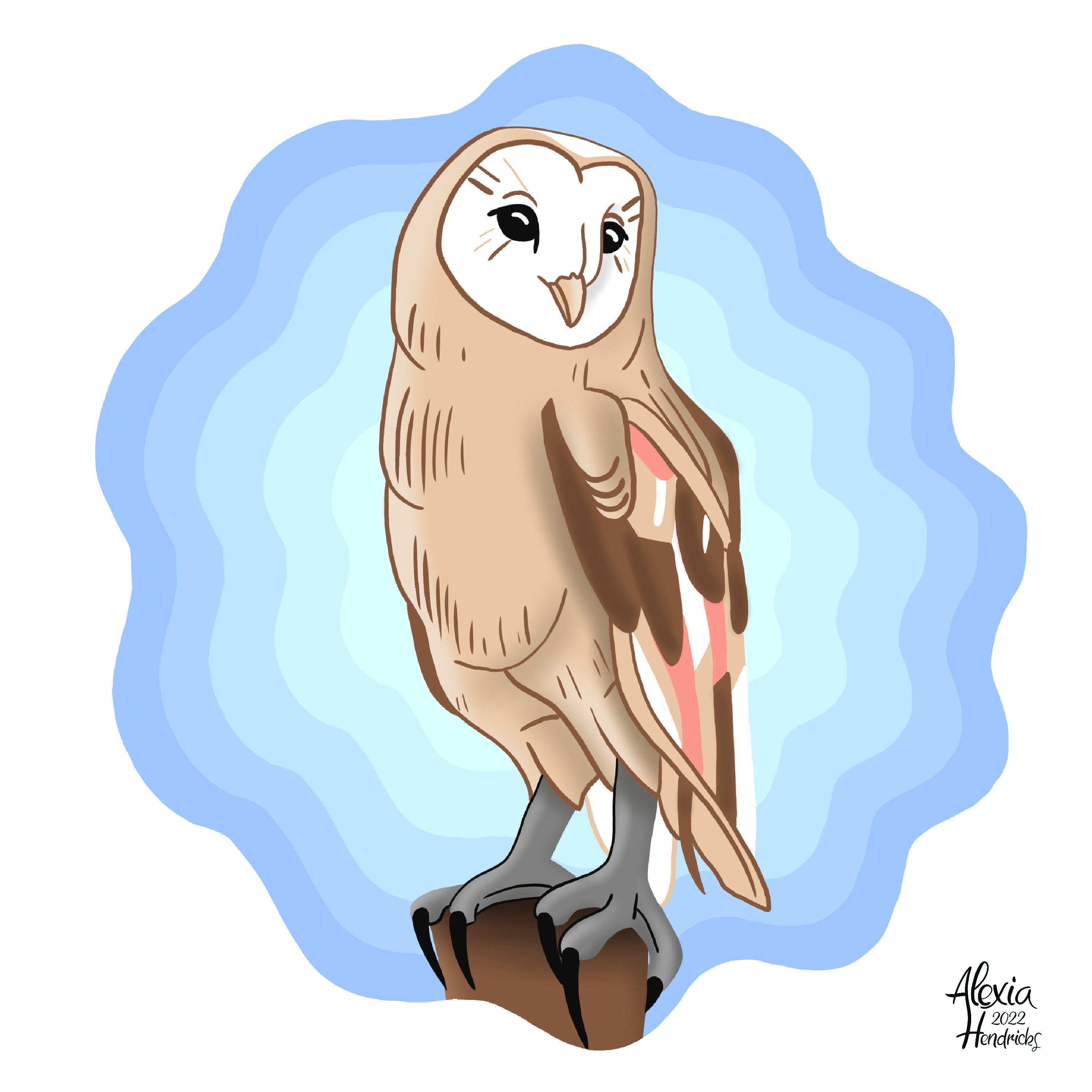 Projet 20230212063106 