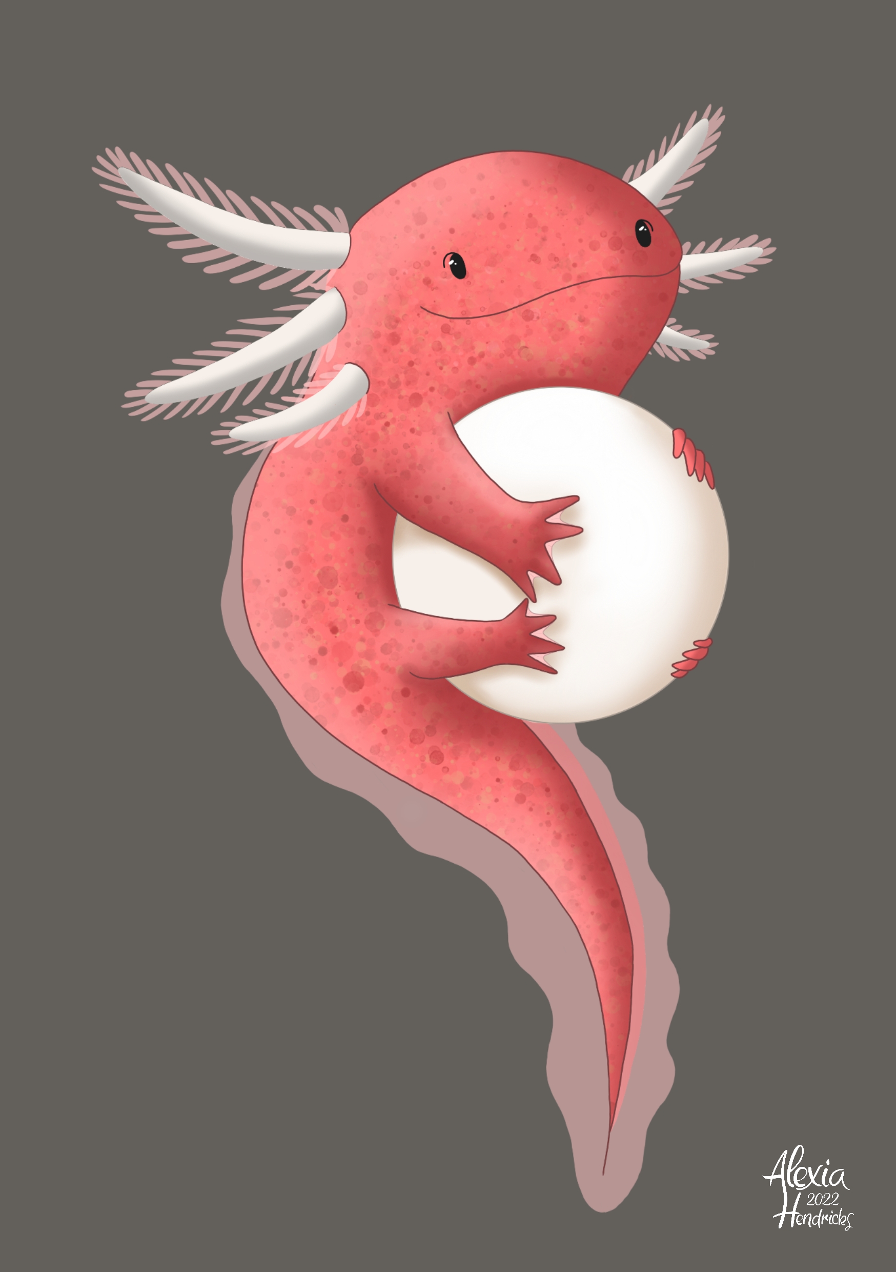 Projet 20230212063158 