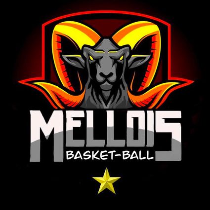 Basket-ball-mellois-