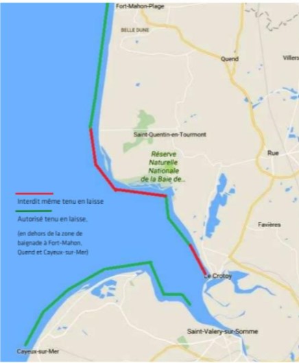 carte des plages autorisées aux chiens