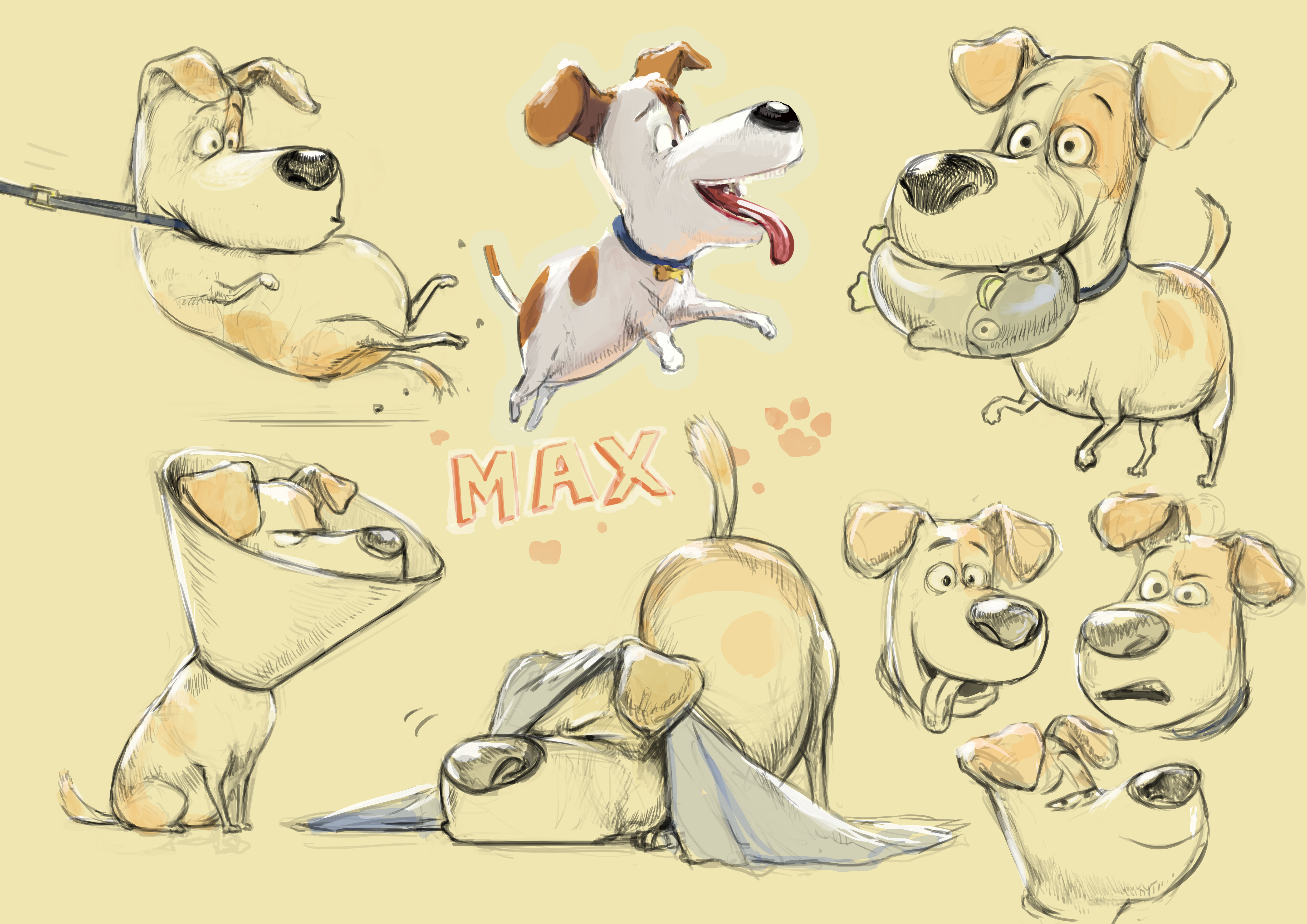 Digallo samuel- schien