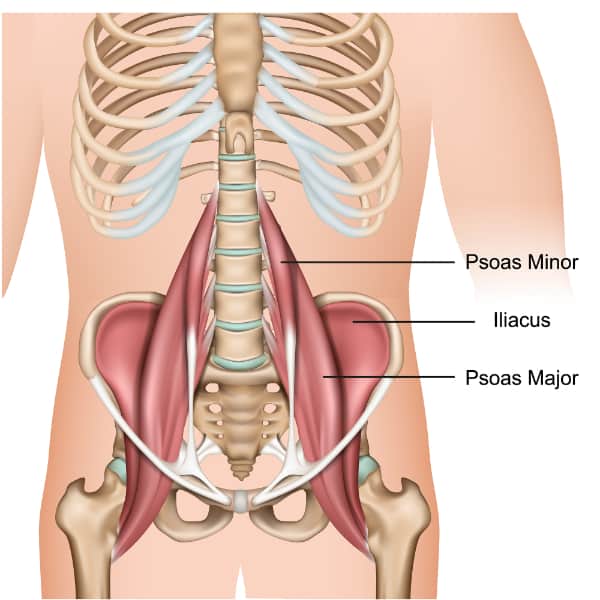 Psoas