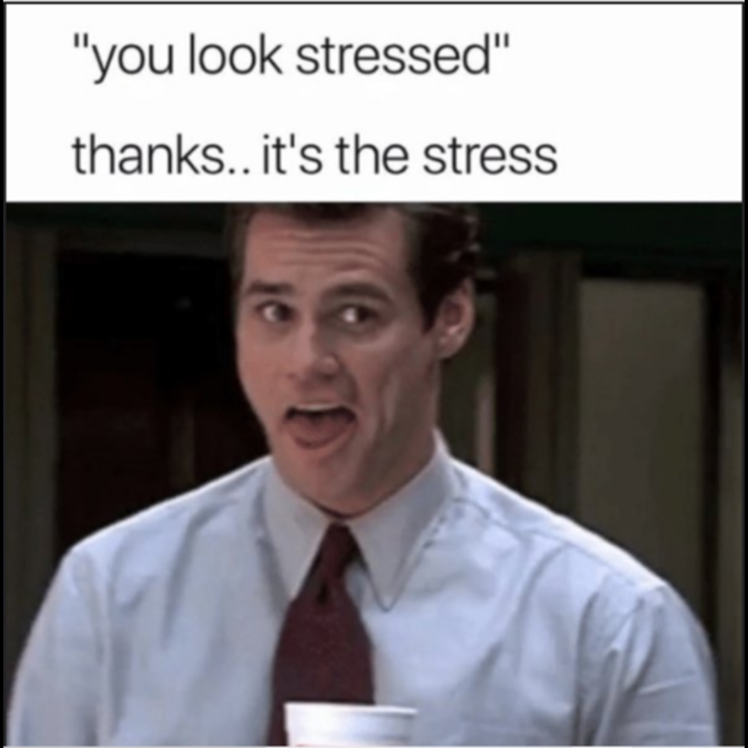 Le stress (suite)