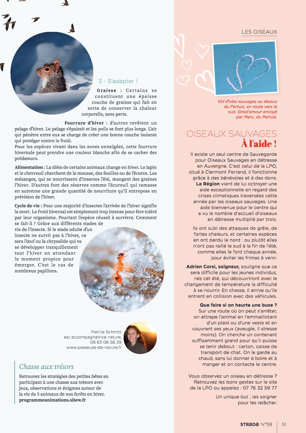 STRADA-22-hiver2
