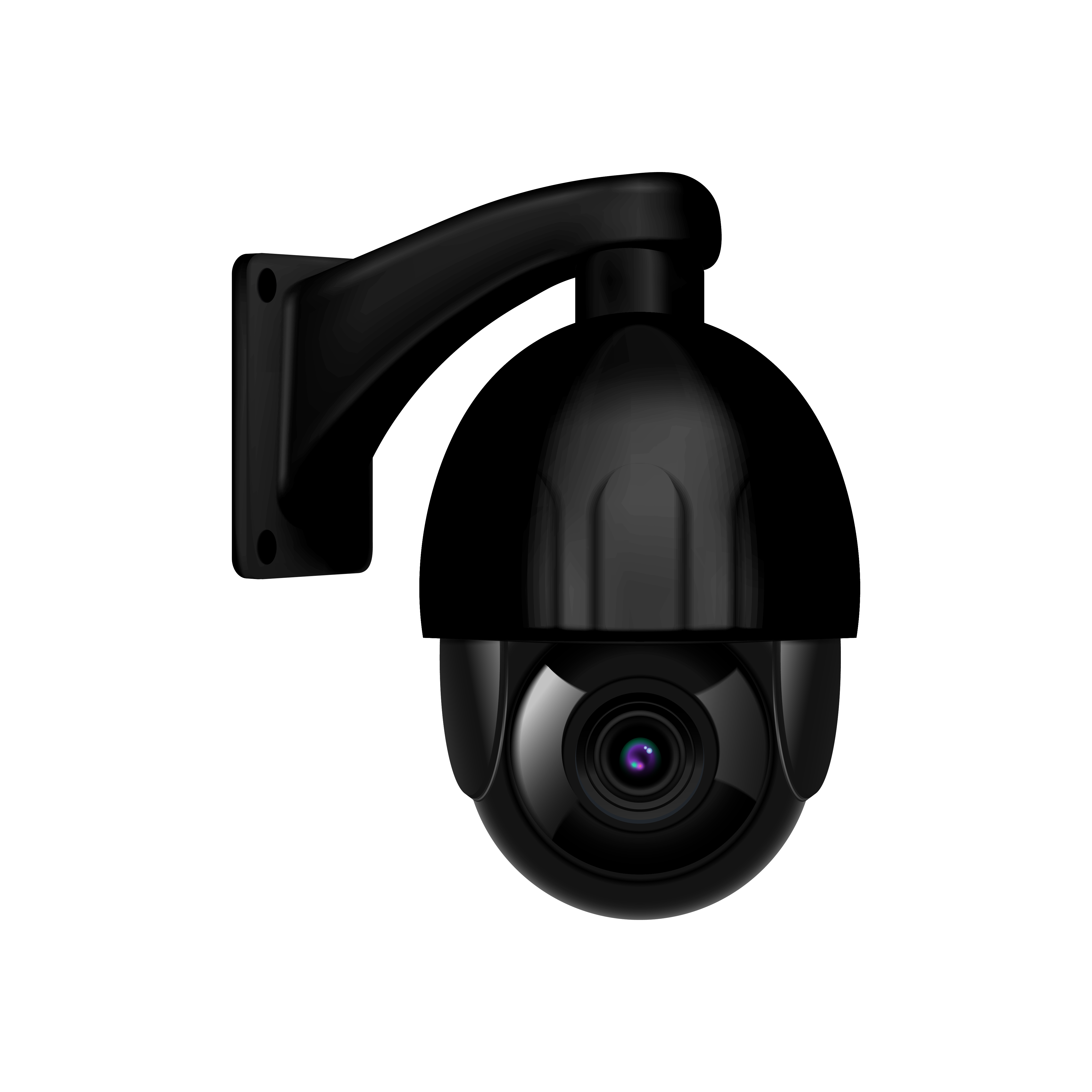 2008-i211-012-F-m004-c7-black-video-surveillance-security-cameras-realistic-04